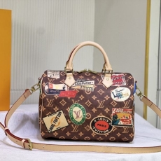 LV Speedy Bags